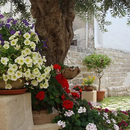 Al Gattopardo 3* Favignana
