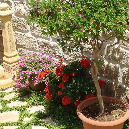 Al Gattopardo Favignana