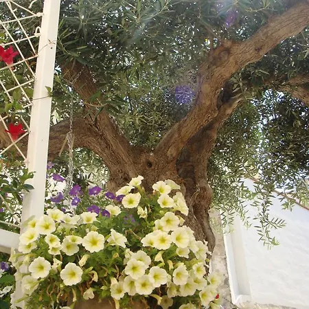 Al Gattopardo Guest house Favignana
